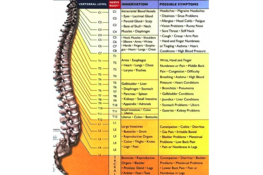 10 Things Most People Don’t Know About Chiropractic